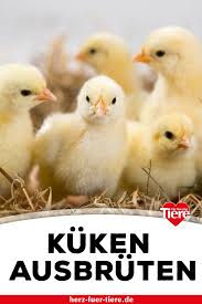 Pin Auf Tiere Im Garten