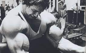 Arnold schwarzenegger zeigt seinen fans, wie stolz er auf seinen jüngsten sohn joseph ist. Hintergrundbilder Einfarbig Arnold Schwarzenegger Darsteller Bodybuilding Jung Muskel Arm Direktor Brust Schwarz Und Weiss Monochrome Fotografie Hersteller 4241x2651 Wallhaven 625873 Hintergrundbilder Wallhere