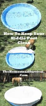 How To Keep Your Kiddie Pool Clean Tip The Homestead Survival Kid Pool Kiddie Pool Kids Sand