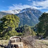 Όπως είπε ο πρόεδρος του δημοτικού συμβουλίου αιγιαλείας γιώργος ντίνος. Zhreia Chalet