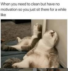 Funny cat and dog memes clean. 26 Fresh Out Of The Kitchen Caturday Memes For Your Viewing Pleasure Cat Quotes Funny Funny Animal Memes Funny Dog Memes