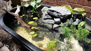 40 Gallon Stock Tank Pond Build Under 100 Youtube Fish Pond Gardens Water Gardens Diy Container Fish Pond