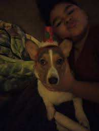 This is tucker he is 7 months old I need a little advice what kind of  shampoo can I use to make his fur soft