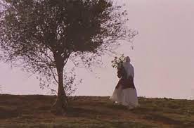 Through the olive trees (persian: Talie Talou On Twitter Through The Olive Trees 1994 Abbas Kiarostami