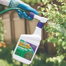 Weed Control | Pasquesi Home And Gardens
