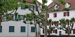 Henschel aus dem jahr 2008 nach einem drehbuch von doris jahn. Kritik Im Kern Berechtigt Weil Am Rhein Badische Zeitung