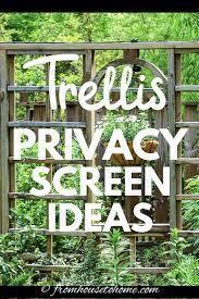 Create a border between the street and your home with a beautiful trellis fence. Backyard Privacy Ideas For Screening Neighbors Out Gardening From House To Home