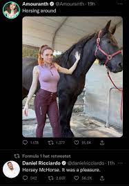 Daniel what are you doing : rformuladank