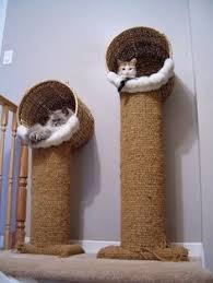 Trono Para Gatos Kedi Agaclari Kedi Evi Kedi Malzemeleri