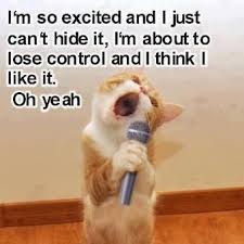Funny Cat I M So Excited And I Just Can T Hide It Funny Animals With Captions Cat Lovers Funny Animals