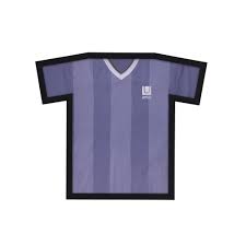 We did not find results for: Umbra T Frame T Shirt Display Picture Frame Reviews Wayfair Co Uk