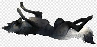 Anime black white wolf roleplay in 2019 anime wolf. Wolf Silhouette Black Wolf Wolf Eyes White Wolf Wolf Head 351855 Free Icon Library