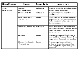Hormon hipotalamus disekresikan ke lobus anterior melalui. Sistem Hormon Manusia Widodo Smpn 1 Paguyangan Hormon