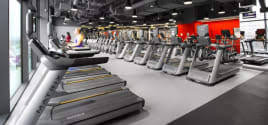 We did not find results for: Buy And Sell New And Used Gym Equipment