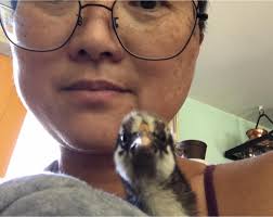 Two-week-old chicks practicing flying and scratching