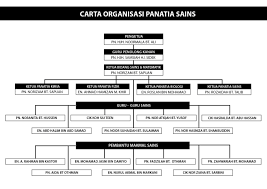 draw organization chart in adobe illustrator