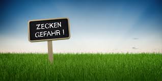 Wer im frühsommer geschützt sein will, sollte sich zeitnah darum. Zeckenimpfung Impfung Gegen Fsme Kosten U Wie Zecken Entfernen