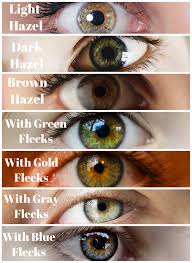 Use some dye on top of the green applying the principles of the color theory. What Is The Best Hair Color For Hazel Eyes Hair Adviser