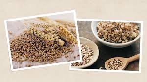 A Nutritionist'S Guide To A Vegan Bodybuilding Diet – Vivo Life Eu