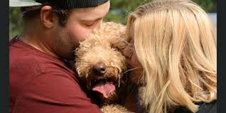 Abbie Larsen and Samuel Kain's Wedding Website