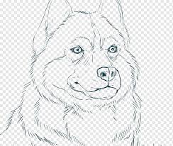Sibirya Husky Alaskan Husky Kopek Boyama Kitabi Husky Siberian Cocuk Yuz Etobur Png Pngwing