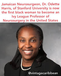 Jamaïcains are so brillant.