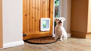 The materials used to build it and the homeowner's choice to do the work the cost of installation ranges from $120 to $450, plus the price for the pet door. The Ultimate Guide To Dog Door Types In Australia For 2019 Sydney Wide Pet Doors