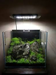 Maybe you would like to learn more about one of these? Nano Cube Ein Gutes Beispiel Fur Die Grosse Eines Nano Aquariums Obwohl Die Pflanzen Uber Die Harte Hinauswachsen Konnen Nano Aquarium Aquarien Aquascaping