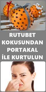 Evimizde bulunan nem ve rutubet sonucu ortaya çıkan kötü küf kokusundan kurtulmak mis gibi kokan evimiz ve mutfağımız için ilk yapmamız gereken evimizi sık sık temizlemektir. Rutubet Kokusu Nasil Gider Cleaning Back To School Cleaners