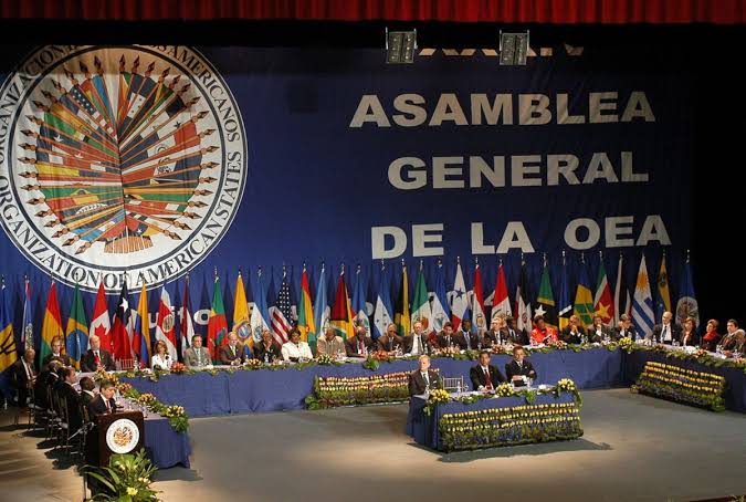 Resolución de la Asamblea de la OEA, «sin efecto inmediato», señalan opositores - Artículo 66