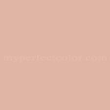 Sherwin Williams Sw6331 Smoky Salmon