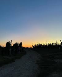 same time next year?