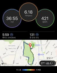 금두식의 팔달산 업힐훈련 - 러닝 마이너 갤러리 - 디시인사이드