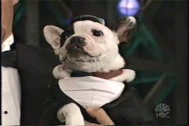31,472 views, 2 upvotes, 2 comments. Pudge On The Jay Leno Show Pudge Fat Dog