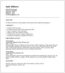 Sample Airlines Ticketing Agent Cv Free Resume Templates Professional Resume Samples Customer Service Resume Resume