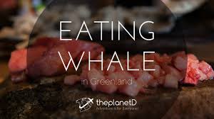 Eating Whale In Greenland Food Travel Vlog Youtube