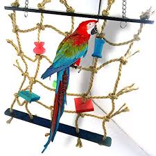 See more ideas about parrot toys, bird, bird toys. How To Build Your Own Bird Play Gym Spiffy Pet Products