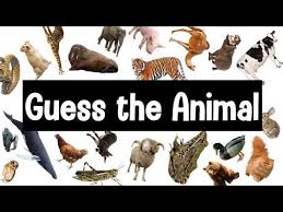 Guess The Animal Sound Game 30 Animal Sounds Quiz Wildlife Trivia Youtube Animal Quiz Animal Sounds Game Animal Sounds