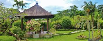 Welcome to our gallery featuring a variety of fantastic pavilions! 6 Tips To Create A Balinese Inspired Garden Service Com Au