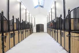 Hingsten el barone 111 och hans ryttare malin baryard johnsson vill bidra till hästars välfärd. Exklusiva Hastboxar En Hastbox For Dig Med Ansprak Utover Det Vanliga Stalle Pferde