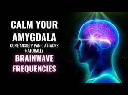 Unlocking your natural relaxation system by devi, gayatri. Relaxing Music Video Ninad Music Youtube