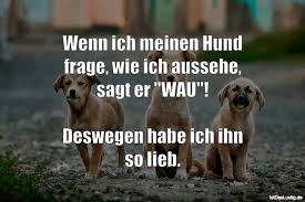 Meine katze ist mein chef. Die Besten 47 Hund Spruche Auf Istdaslustig De
