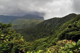 You can take a bus from san josé to santa elena (station) via puntarenas in around 5h. Ohne Anstehen Eintrittskarte Fur Das Santa Elena Nebelwaldreservat 2021 Monteverde Tiefpreisgarantie