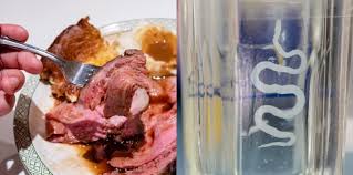 Menemukan infestasi cacing di tempat sampah anda atau area lain di rumah anda sudah cukup untuk membuat siapa pun berhenti di tempat kering. Cacing Pita Ini Yang Anda Perlu Buat Kalau Dapat Jangkitan Cacing Pita