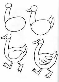 Okul Oncesi Drawing Lessons Hayvan Cizim