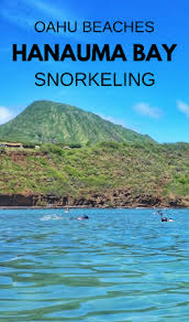 Hanauma bay snorkel adventures is a local hawaii snorkeling excursion and shuttle service company dedicated to helping you and your family enjoy hanauma bay nature preserve to the fullest. Hanauma Bay Snorkeling Rental Prices 2017 Oahu Snorkeling Oahu Hawaii Waikiki Honolulu