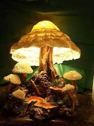 Pin On Nature Photos