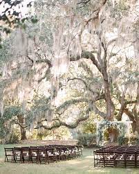 Wedding Ceremony Under Oak Trees In Charleston Willow Tree Wedding Oak Tree Wedding Tree Wedding Ceremony