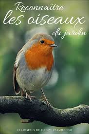 Reconnaitre Les Oiseaux Du Jardin Oiseaux Des Jardins Jardins Oiseaux