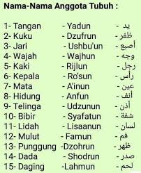 Barang siapa terbiasa dengan sesuatu, pasti dia akan menjadi ahlinya. mari kita kembali belajar bahasa arab, dengan menambah kosakata baru. Yu Belajar Bahasa Arab Moga Smule Sing Karaoke Facebook